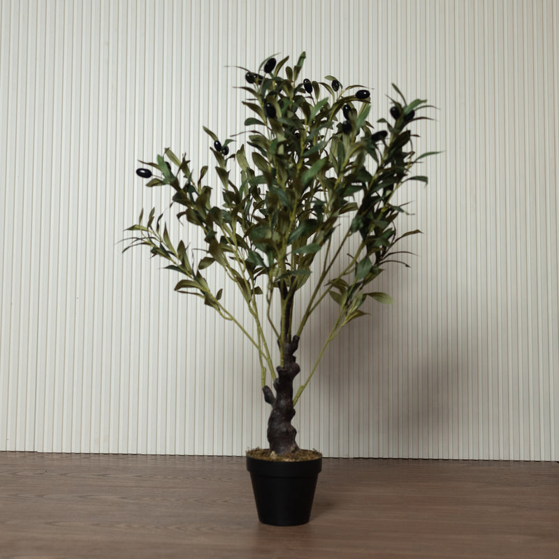 Olive Tree Small (8498465964194)