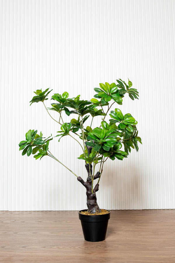 Artificial Ficus Plant (8498472222882)