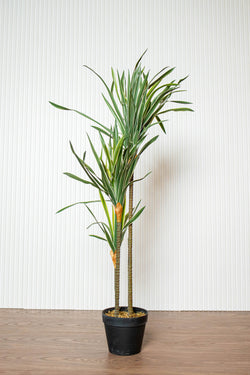 Artificial Darcena Plant (8498476548258)