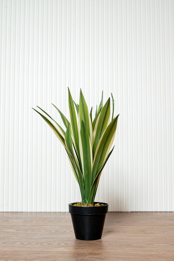 Artificial Spider Plant (8498469273762)