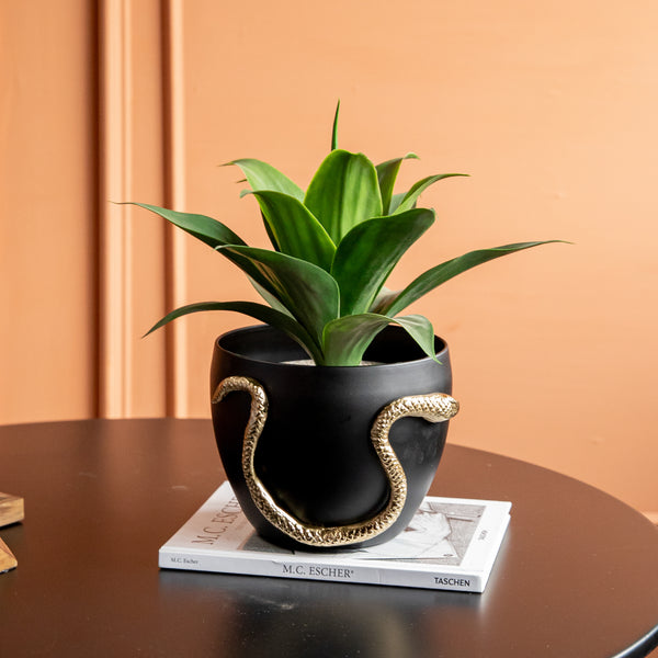 Serpenti Planter (Small) (8432119939234)