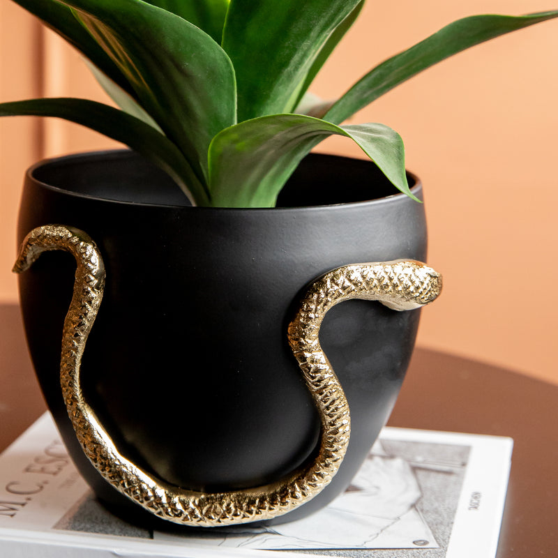 Serpenti Planter (Small) (8432119939234)