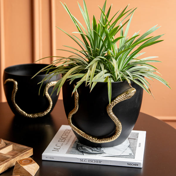 Serpenti Planter (Large) (8432118562978)