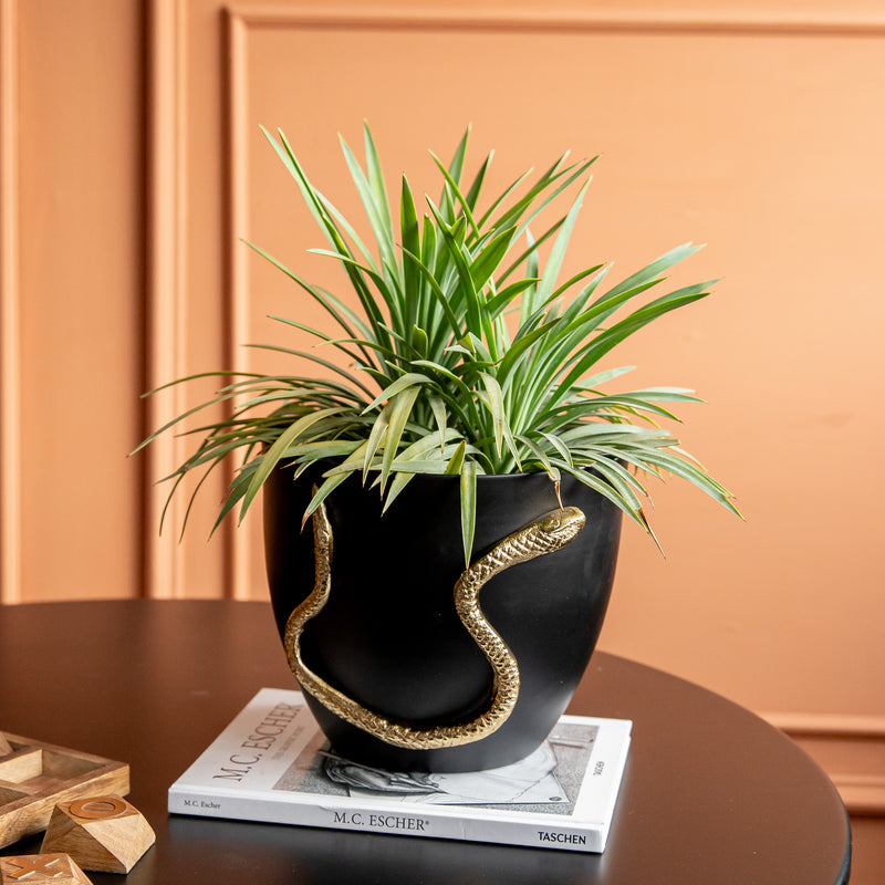 Serpenti Planter (Large) (8432118562978)