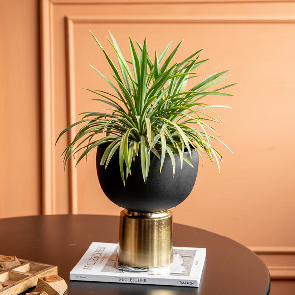 Ophelia Planter (8432144285858)