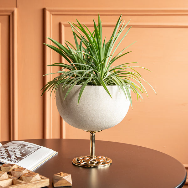 Azori Planter (8432122200226)