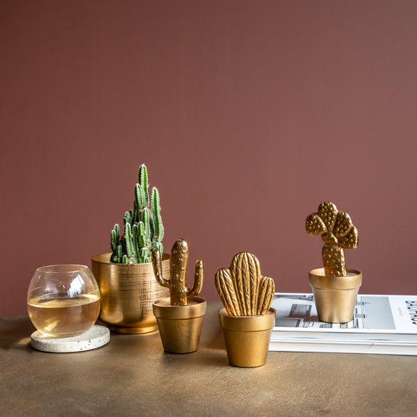 Table Top Accessories