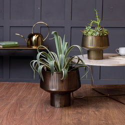 Roseau Planter Small (7617369145506) (7617466630306) (7617468924066)