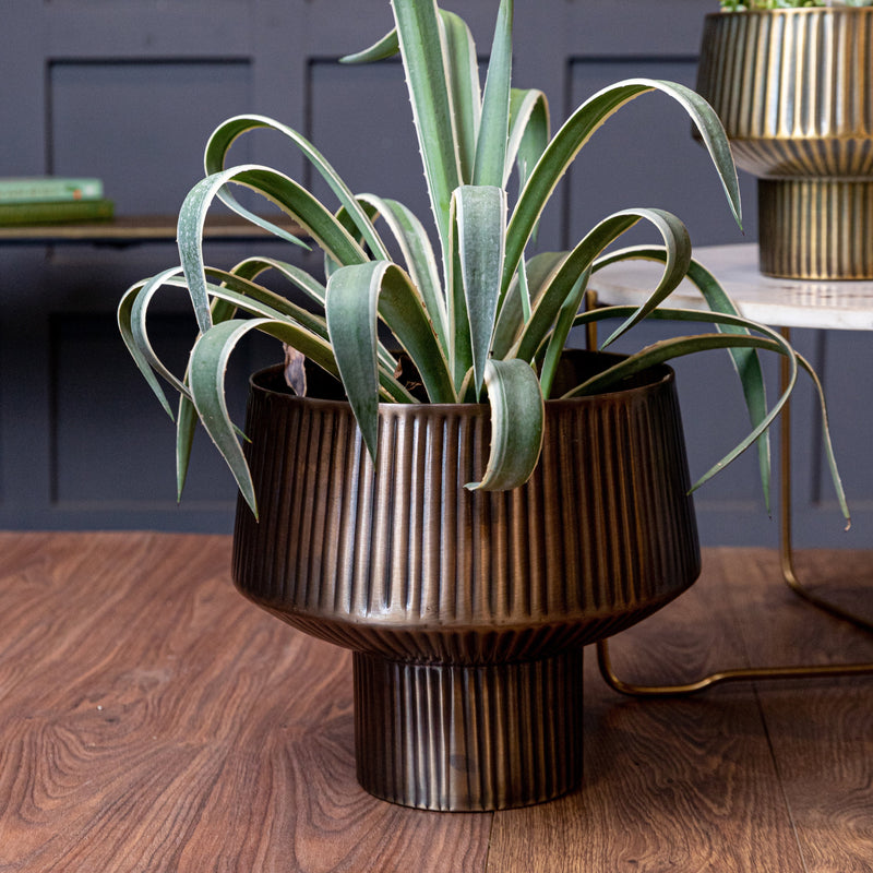 Roseau Planter Small (7617369145506) (7617466630306) (7617468924066)