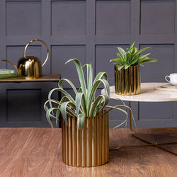 Jacquemus Planter Small (7617476329634) (7617521057954) (7617521942690)