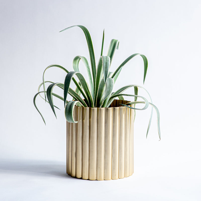 Jacquemus Planter Small (7617476329634) (7617521057954) (7617521942690)