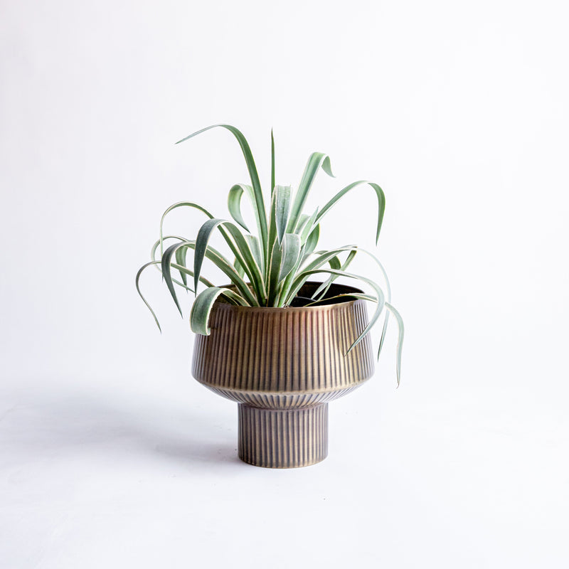 Roseau Planter Small (7617369145506) (7617466630306) (7617468924066)